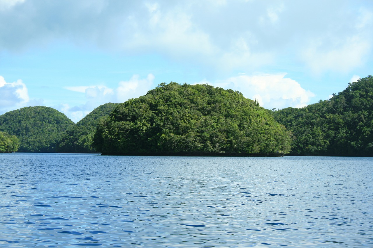 Salos, Vanduo, Palau, Kraštovaizdis, Dykuma, Peizažas, Natūralus, Laukiniai, Lauke, Aplinka