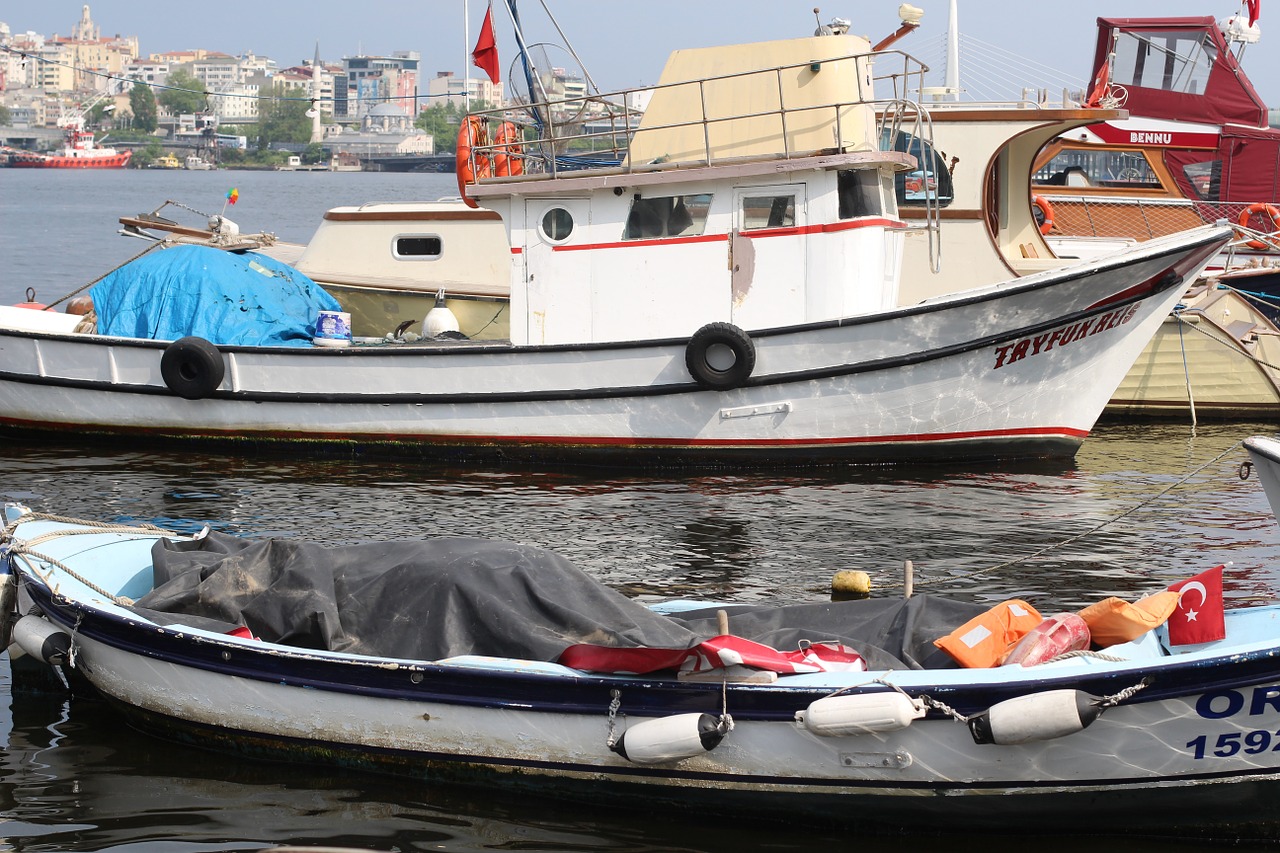 Istanbulas, Kranto, Jūra, Mažas Žvejybos Laivas, Nemokamos Nuotraukos,  Nemokama Licenzija