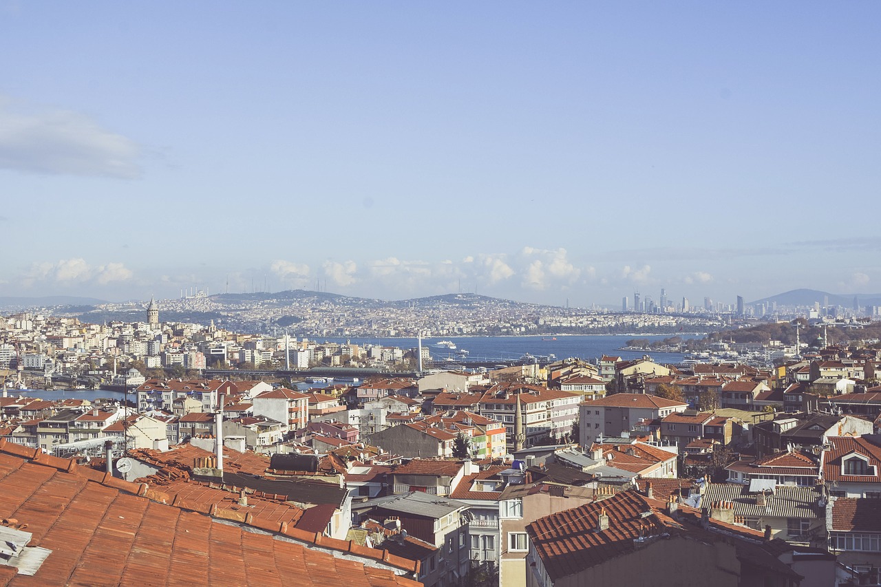 Istanbulas, Stogai, Turkija, Gerklė, Cami, Miesto Panorama, Scena, Miestas, Vaizdas, Senamiestis
