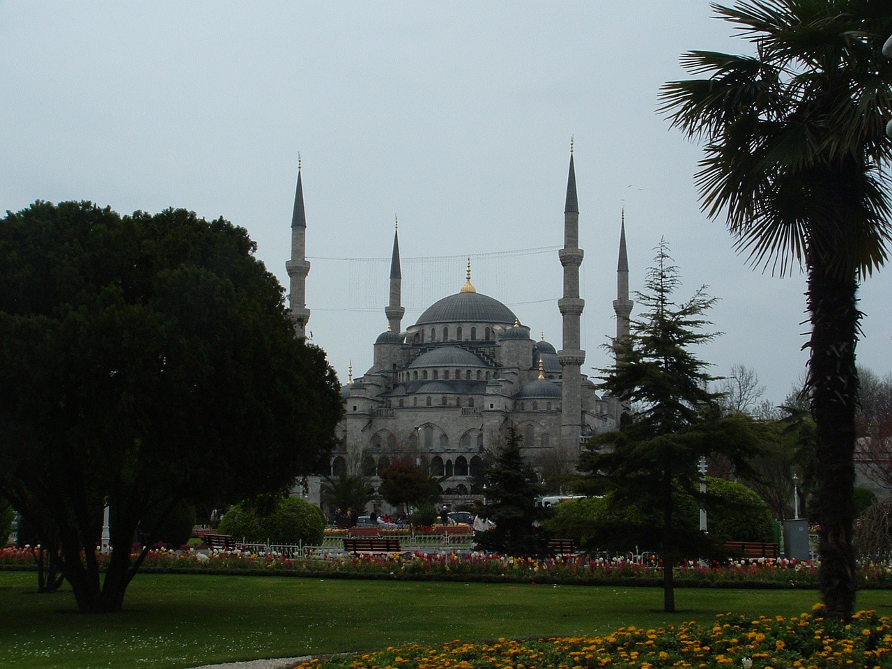 Istanbulas, Sultanahmet, Turkija, Architektūra, Minaretai, Lauke, Medžiai, Miestas, Pastatai, Religinė Architektūra