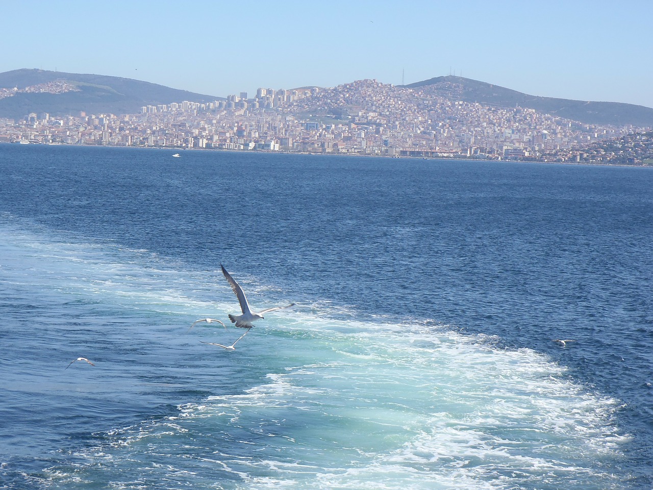 Istanbulas, Jūra, Kaukolės, Nemokamos Nuotraukos,  Nemokama Licenzija