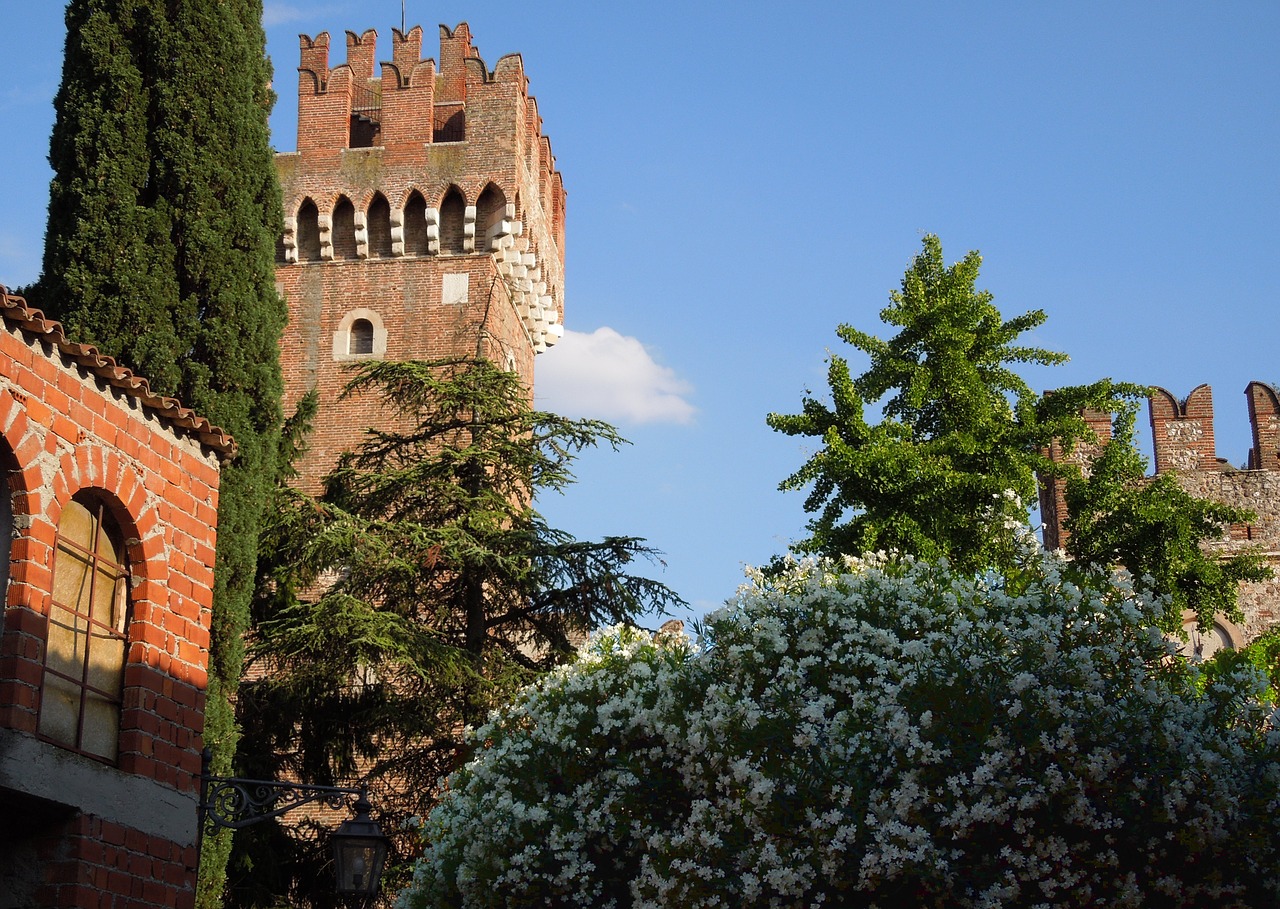 Italy, Pilis, Rododendras, Vasara, Mėlynas Dangus, Mūrinis Bokštas, Nemokamos Nuotraukos,  Nemokama Licenzija