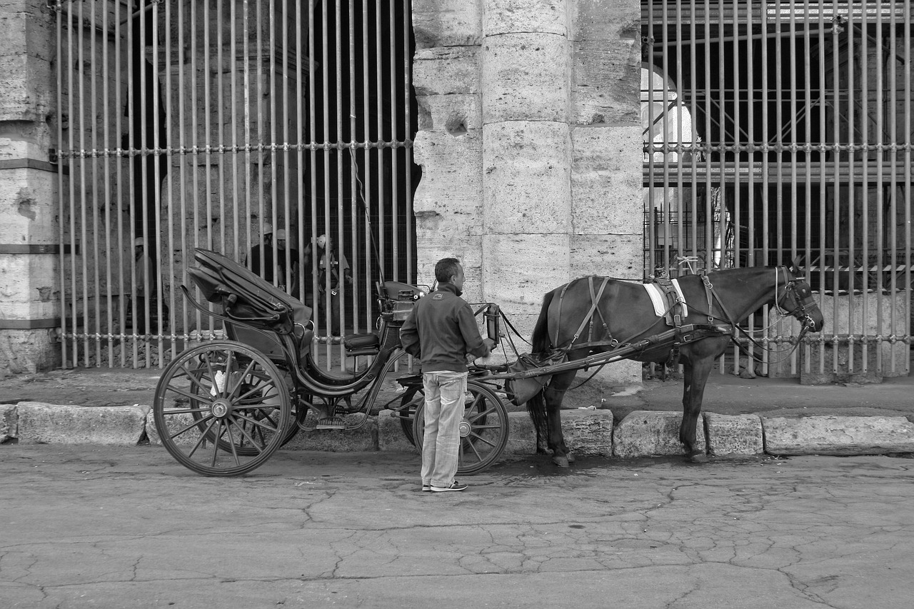 Italy, Roma, Arklys, Vežimas, Nemokamos Nuotraukos,  Nemokama Licenzija