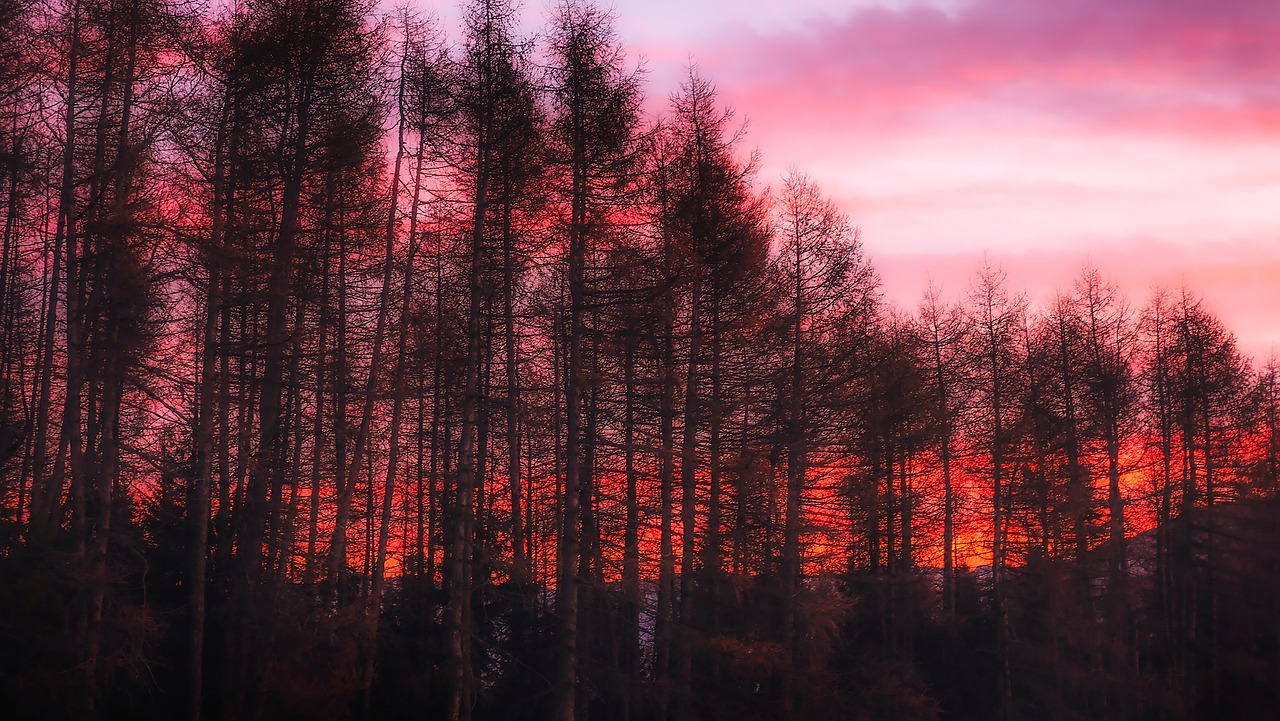 Italy, Saulėlydis, Dusk, Spalvos, Spalvinga, Gražus, Siluetai, Dangus, Debesys, Miškas