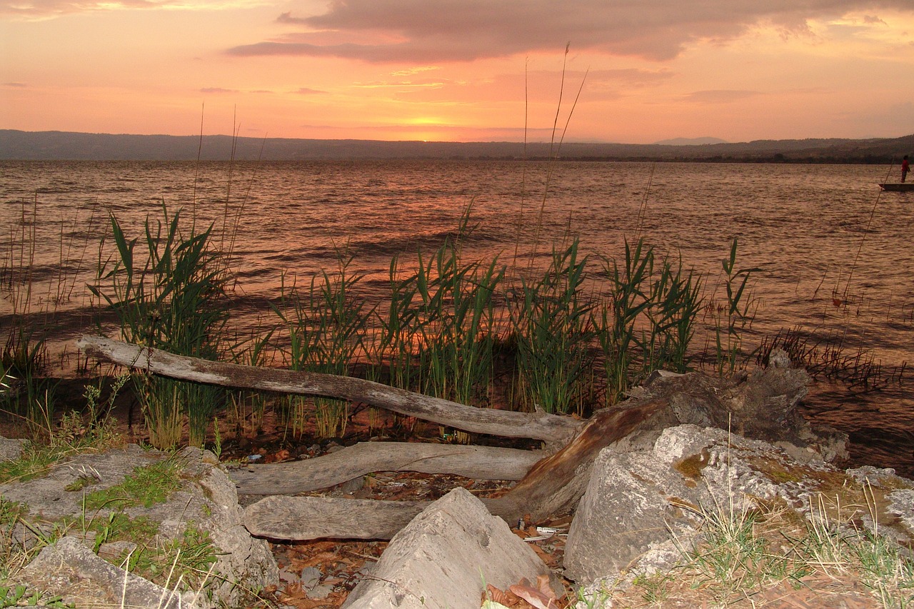 Italy, Lago Di Bolsena, Ežeras, Saulėlydis, Nuotaika, Abendstimmung, Nendrė, Nemokamos Nuotraukos,  Nemokama Licenzija