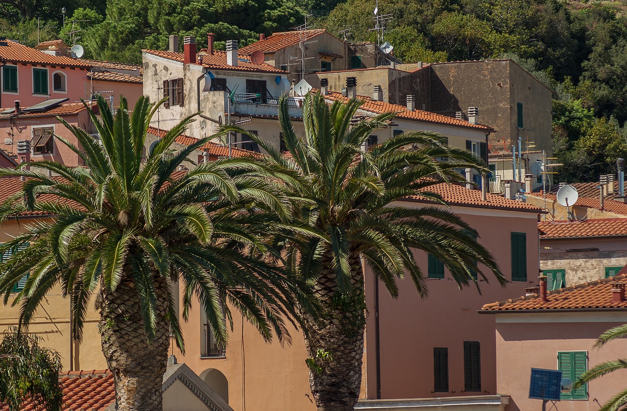 Italy, Rio Marina, Sala Elba, Palmės, Nemokamos Nuotraukos,  Nemokama Licenzija