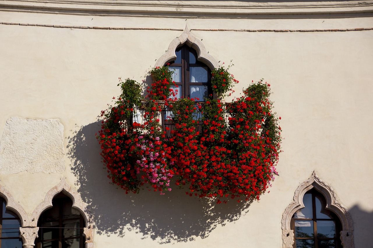 Italy, Garda, Gėlė, Fasadai, Gėlių Dėžė, Namo Fasadas, Balkonas, Siena, Nemokamos Nuotraukos,  Nemokama Licenzija