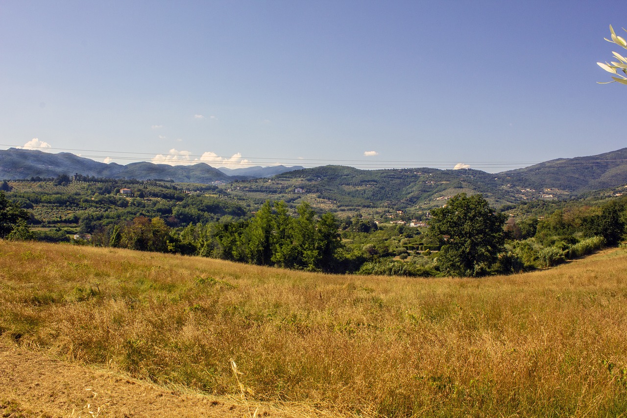 Italija,  Toskana,  Turizmas,  Kraštovaizdis,  Kampanija,  Auginimas,  Kalvos,  Išorės,  Onda,  Pobūdį