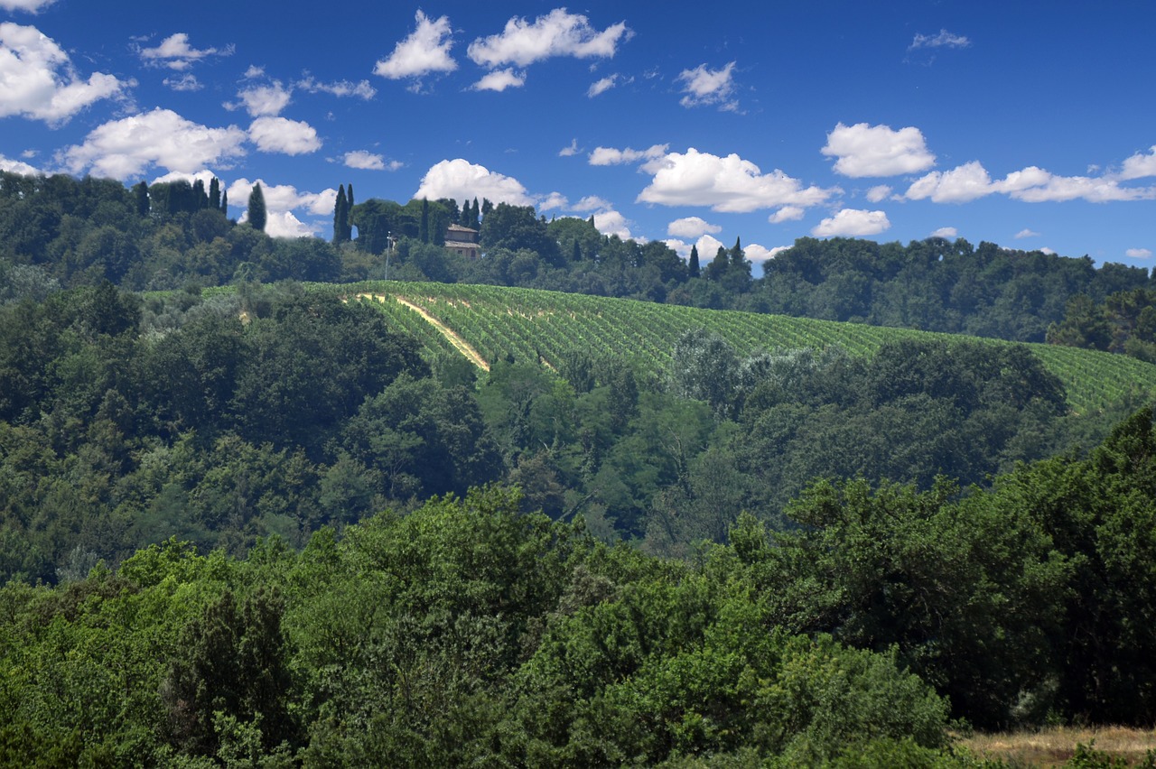 Italija,  Toskana,  Šiltnamio Efektą Sukeliančių,  Kraštovaizdis,  Pobūdį,  Hill,  Laukas,  Vasara,  Turizmas,  Metai