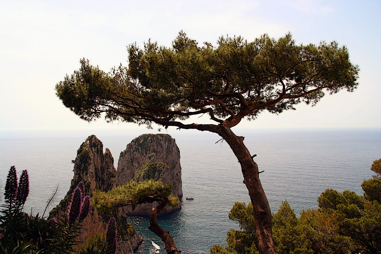 Italy, Capri, Sala, Uolos, Vanduo, Gamta, Kraštovaizdis, Viduržemio Jūros, Vaizdo Redagavimas, Nemokamos Nuotraukos