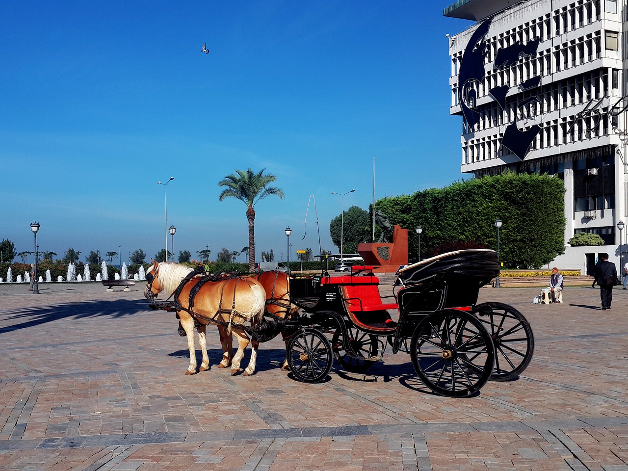 Izmir, Turkija, Gyvenamasis Namas, Ege, Kvadratas, Arklių Vilkikas, Arklys, Nemokamos Nuotraukos,  Nemokama Licenzija