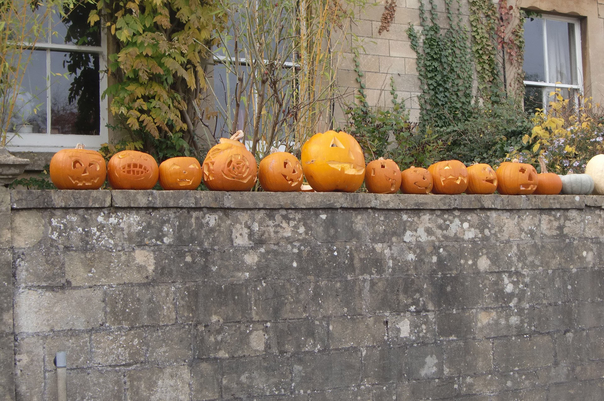 Moliūgas Žibintas,  Halloween,  Moliūgas,  Oranžinė,  Ruduo,  Kritimas,  Sezonas,  Spalio Mėn,  Festivalis,  Jack-O-Žibintai