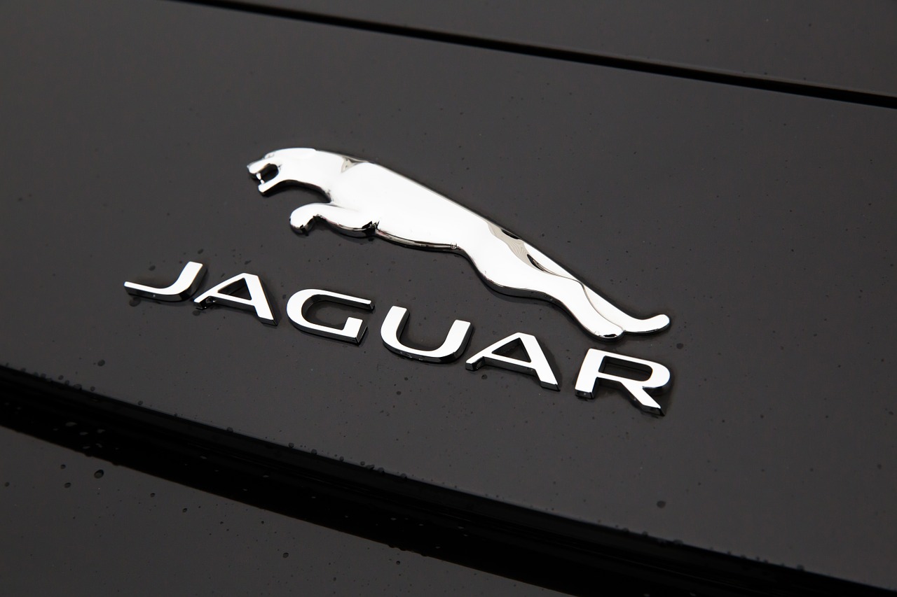 Jaguar, Logotipas, Juoda, Sidabras, Emblema, Nemokamos Nuotraukos,  Nemokama Licenzija