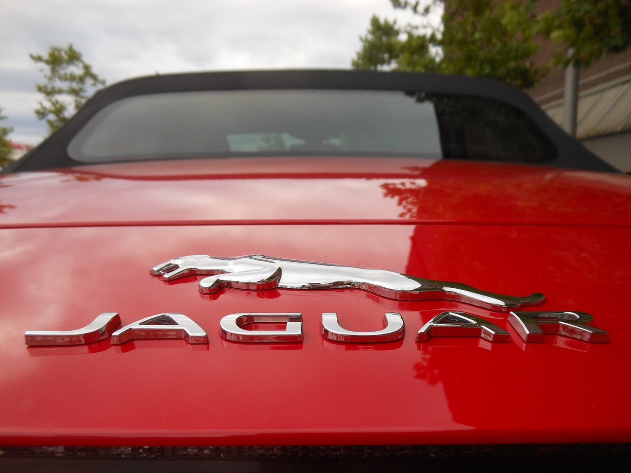 Jaguar, F Tipo, Sportinė Mašina, Kabrioletas, Du Sėdimosios Vietos, Prabanga, Transporto Priemonė, Raudona, Logotipas, Nemokamos Nuotraukos