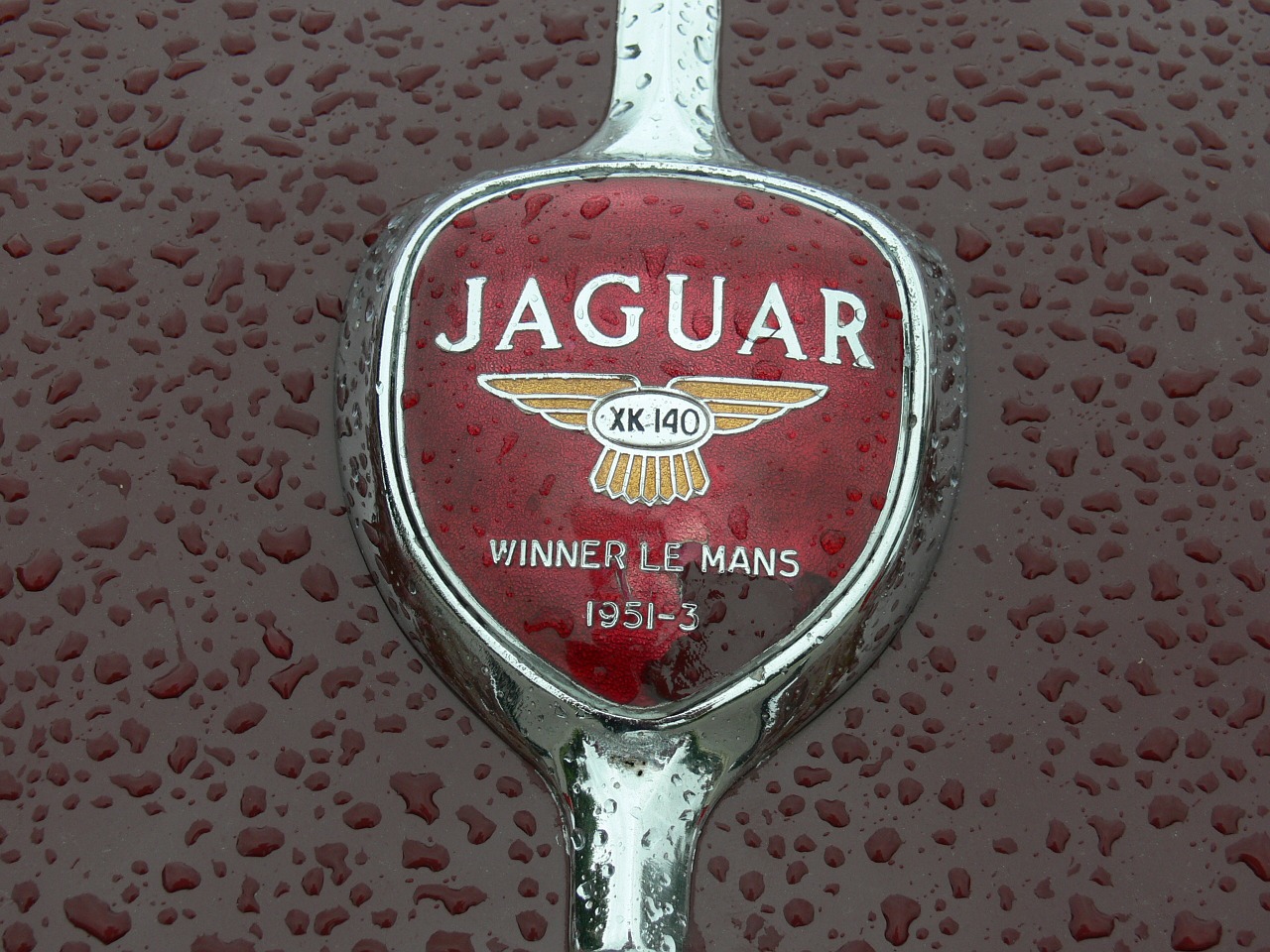 Jaguar, Senas Automobilis, Klasikinis, Automobilis, Senovinis, Vintage, Prabanga, Stilingas, Lietaus Lašai, Nemokamos Nuotraukos
