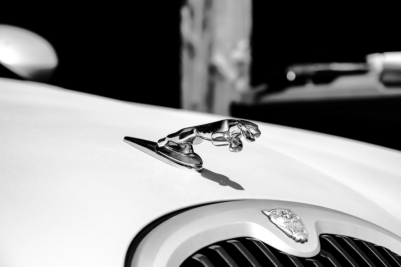 Jaguar, Balta, Automatinis, Transporto Priemonė, Juoda Ir Balta, Limuzinas, Prabanga, Elegantiškas, Automobilio Modelis V8, Nemokamos Nuotraukos
