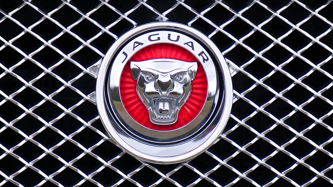 Jaguar, Logotipas, Emblema, Automobilis, Dizainas, Piktograma, Sidabras, Automatinis, Prekinis Ženklas, Simbolis