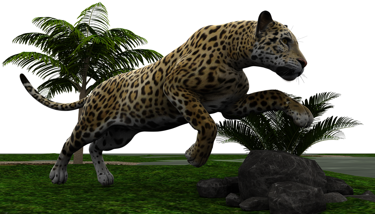 Jaguar, Katė, Wildcat, Plėšrūnas, Pavojingas, Gamta, Gyvūnų Pasaulis, Nemokamos Nuotraukos,  Nemokama Licenzija