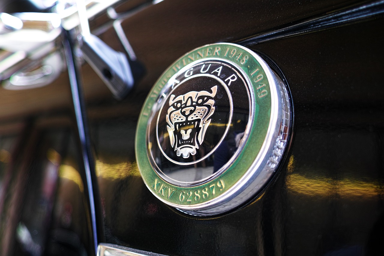 Jaguar, Automobilis, Juoda, Atspindys, Žalias, Produkto Nuotrauka, Logotipas, Gražus, Anglų, Anglija