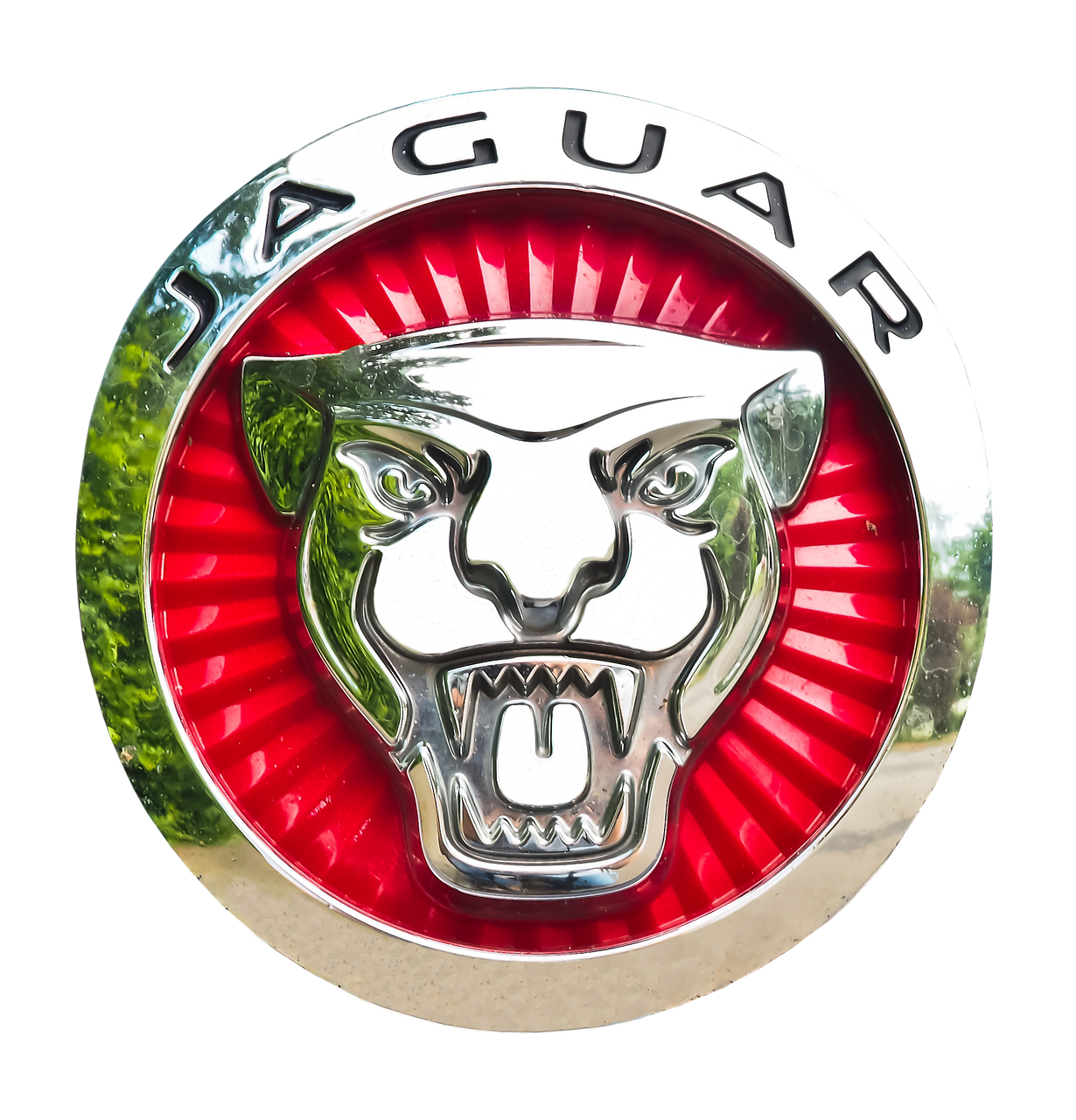 Jaguar, Emblema, Automobilio Prekės Ženklas, Logotipas, Automobiliai, Chromas, Pkw, Edelkarosse, Prabangus Automobilis, Transporto Priemonė