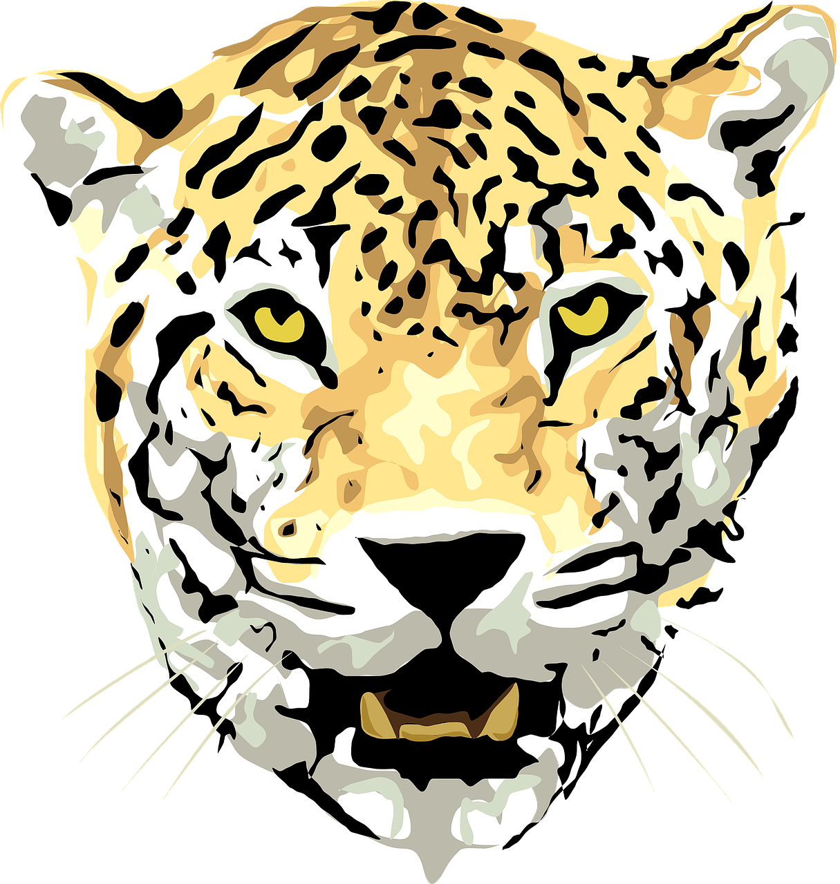 Jaguar, Leopardas, Gyvūnas, Džiunglės, Žinduolis, Kačių, Pastebėtas, Mėsėdis, Laukiniai, Plėšrūnas
