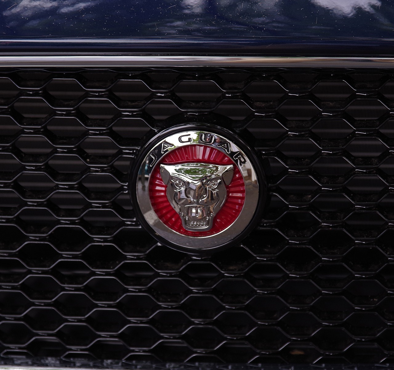 Jaguar,  Automobiliai,  Emblema,  Logotipas,  Grotelės,  Transporto Priemonė,  Automatinis,  Be Honoraro Mokesčio, Nemokamos Nuotraukos,  Nemokama Licenzija
