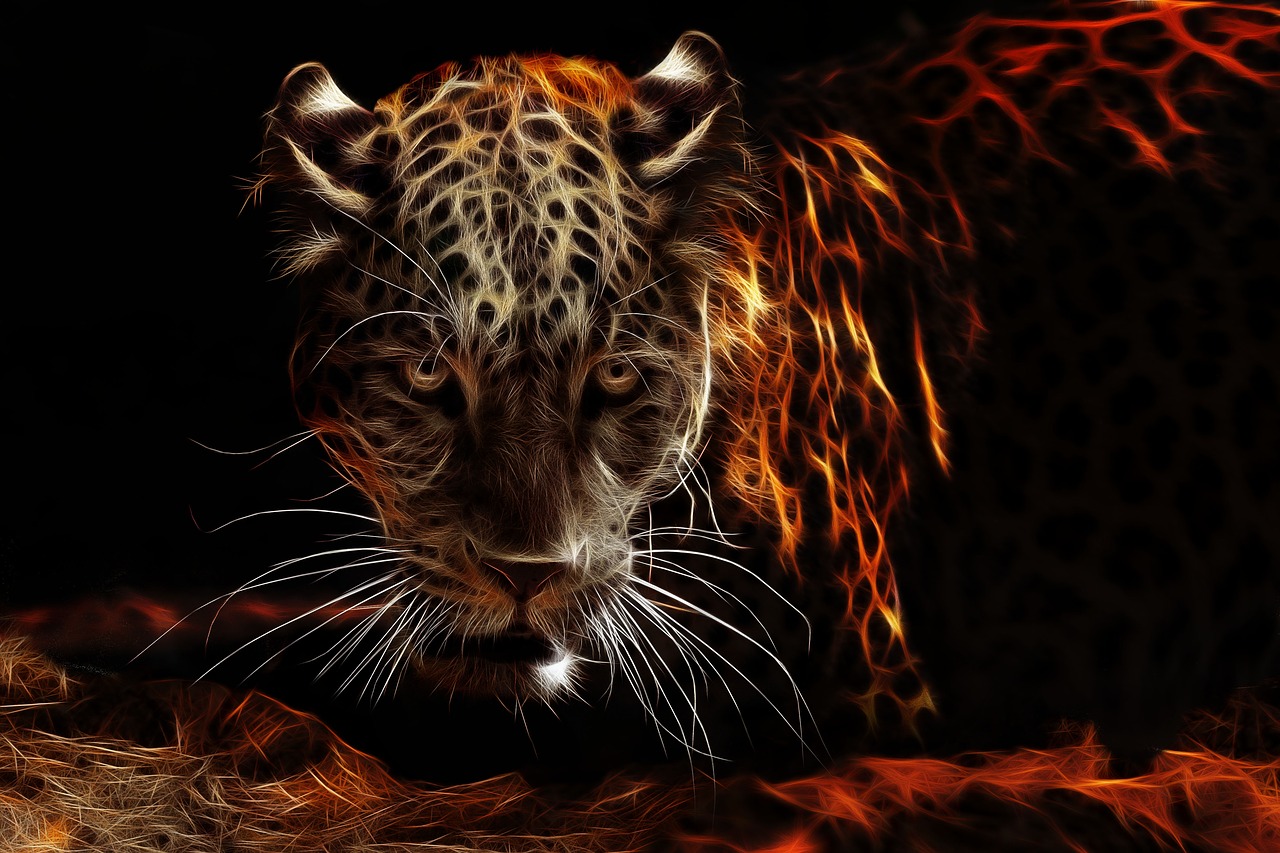 Jaguar,  Fractalius,  Ugninė,  Predator,  Nemokama Iliustracijos, Nemokamos Nuotraukos,  Nemokama Licenzija