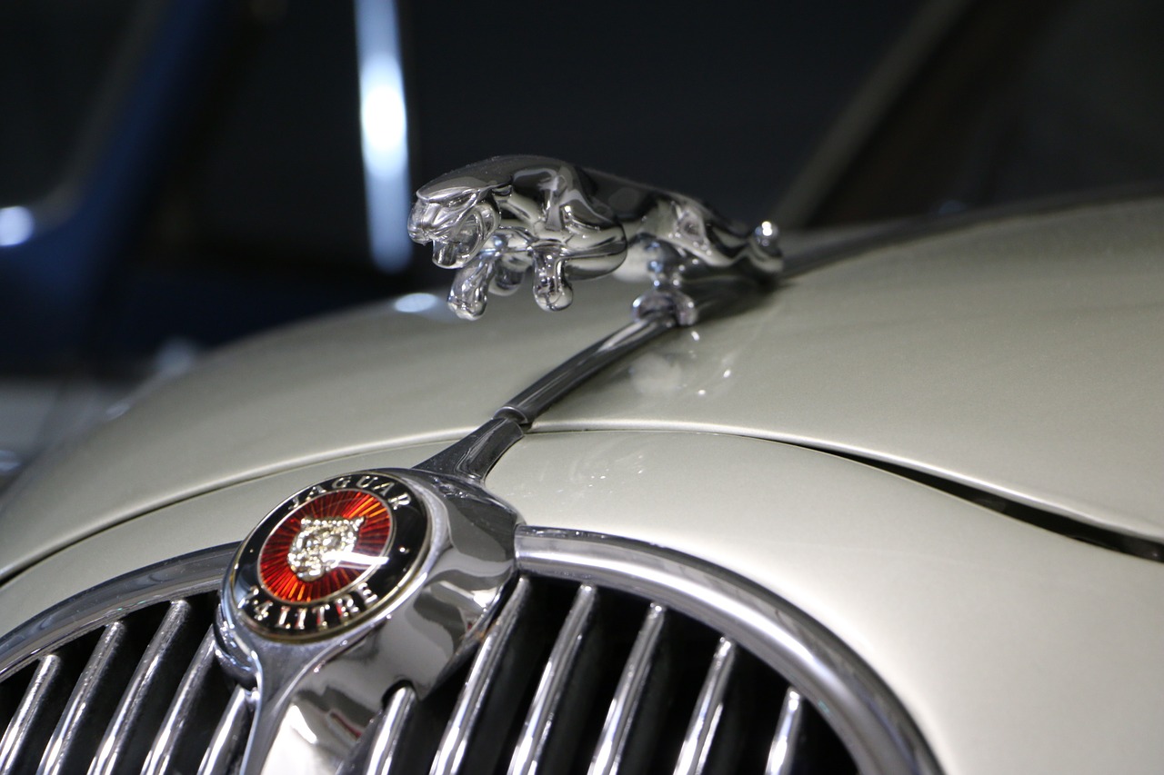 Jaguar, Automobilis, Emblema, Ženklas, Nemokamos Nuotraukos,  Nemokama Licenzija