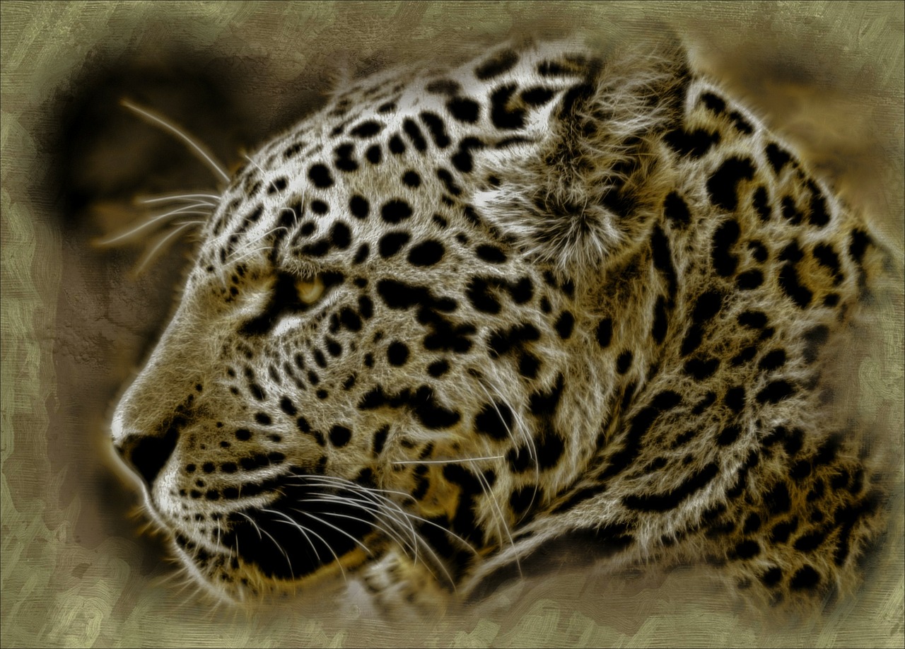 Jaguar, Laukinis Katinas, Gyvūnas, Žinduolis, Poilsio, Laukinis Gyvenimas, Laukinės Gamtos Plėšrūnas, Laukimas, Kompiuterinė Grafika, Meno Kūriniai