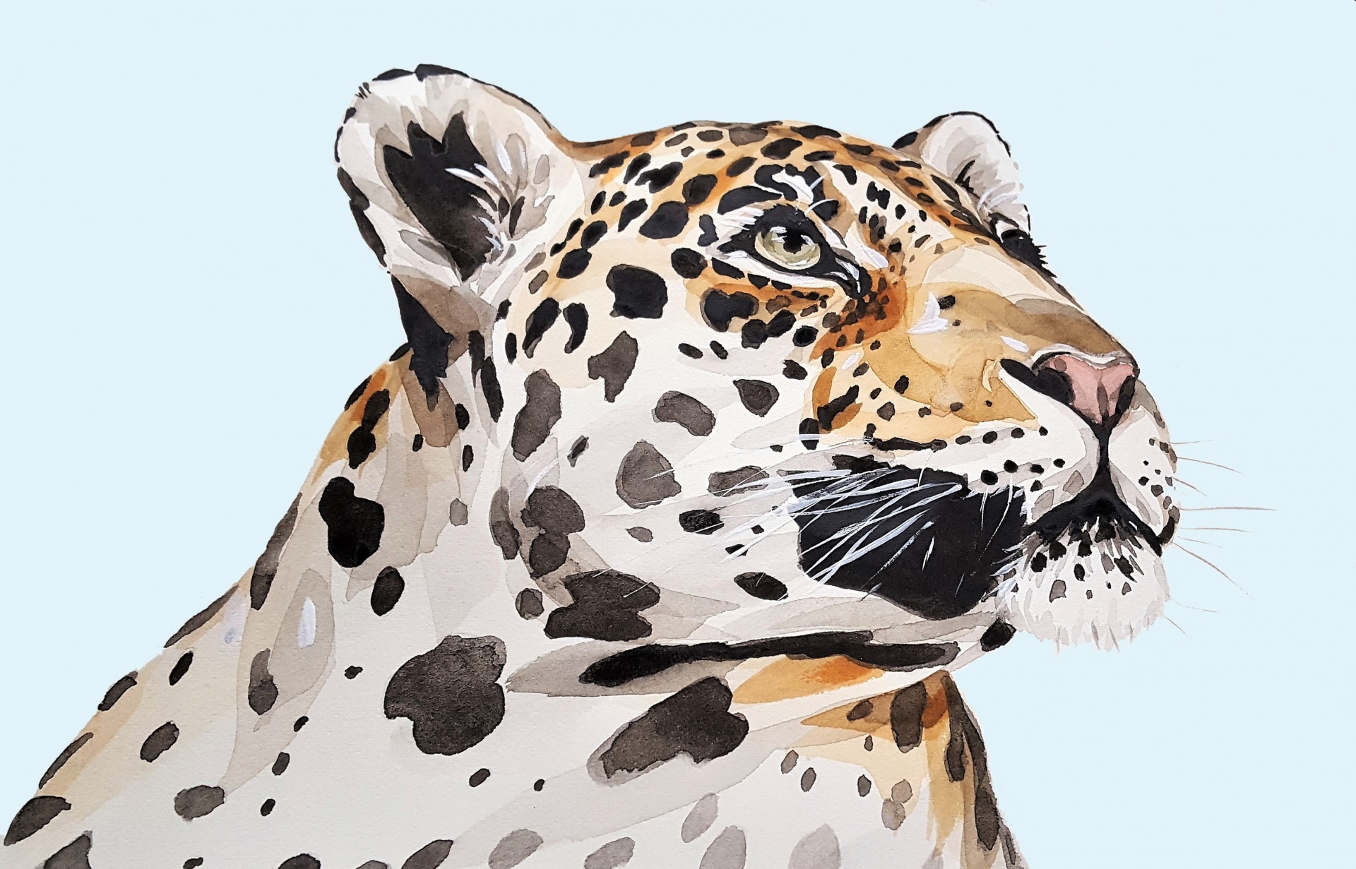 Jaguar,  Leopardas,  Panther,  Akvarelė,  Akvarelė,  Dažymas,  Portrait,  Menas,  Uždaryti,  Veidas