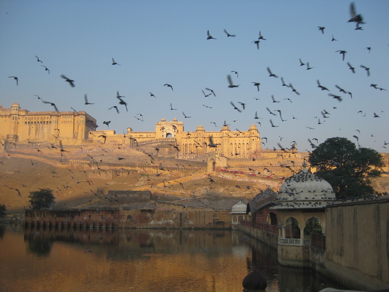 Jaipur, Indija, Rajasthan, Amer Fort, Nemokamos Nuotraukos,  Nemokama Licenzija