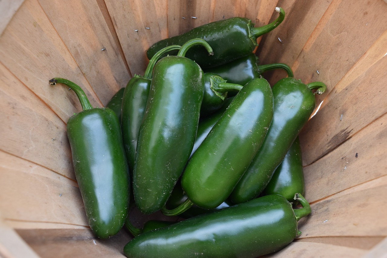 Jalapeno, Pipirai, Maistas, Karštas, Daržovių, Žalias, Aštrus, Virtuvė, Sveikas, Šviežias