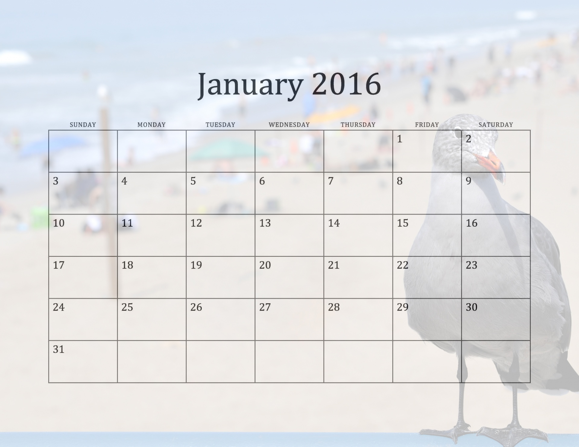 2016,  Kalendorius,  Kalendoriai,  Žurnalas,  Dienoraštis,  Sausis,  Kajakas,  Jūra & Nbsp,  Gull,  Paukštis