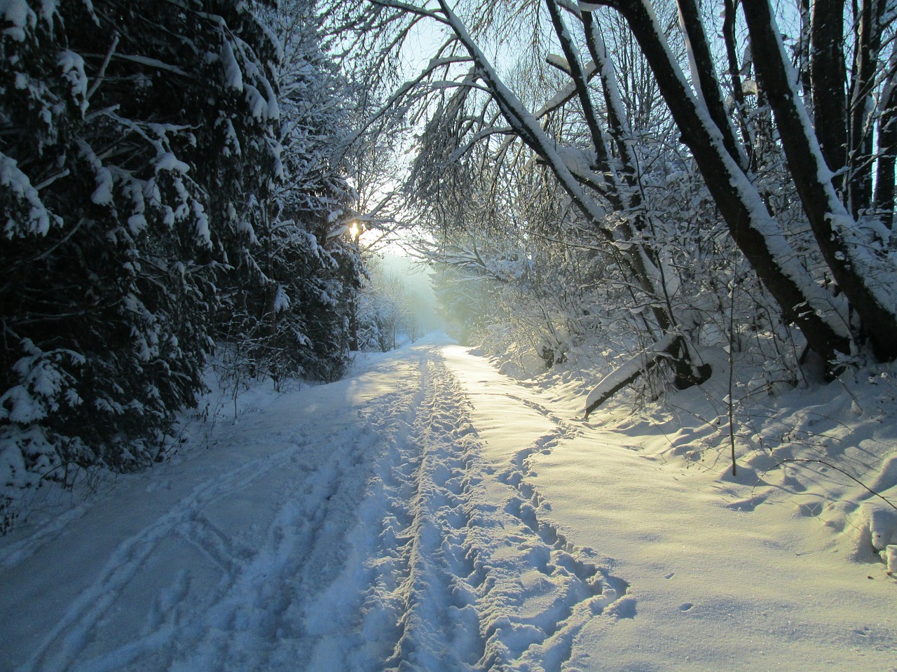 Sausis, Žiemos Kelias, Allgäu Žiema, Nemokamos Nuotraukos,  Nemokama Licenzija