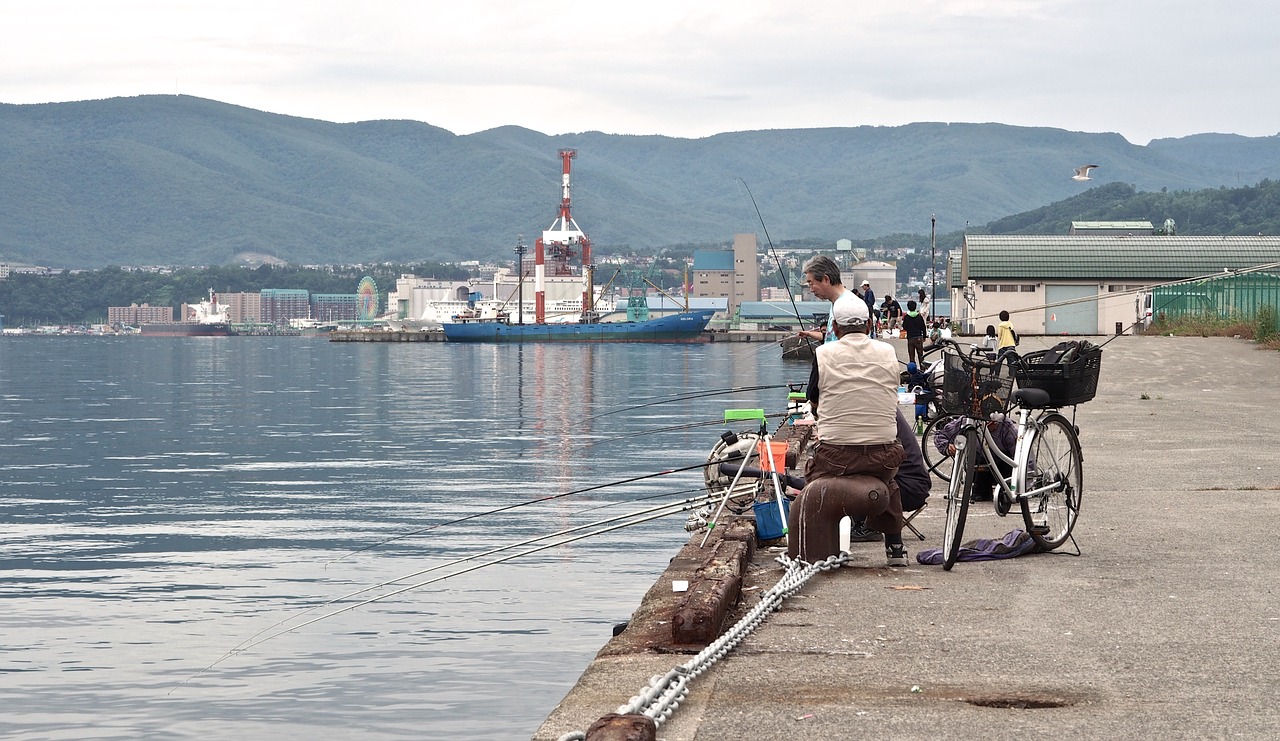 Žvejyba, Žmonės, Japonija, Hokaidas, Otaru, Prieplauka, Nemokamos Nuotraukos,  Nemokama Licenzija