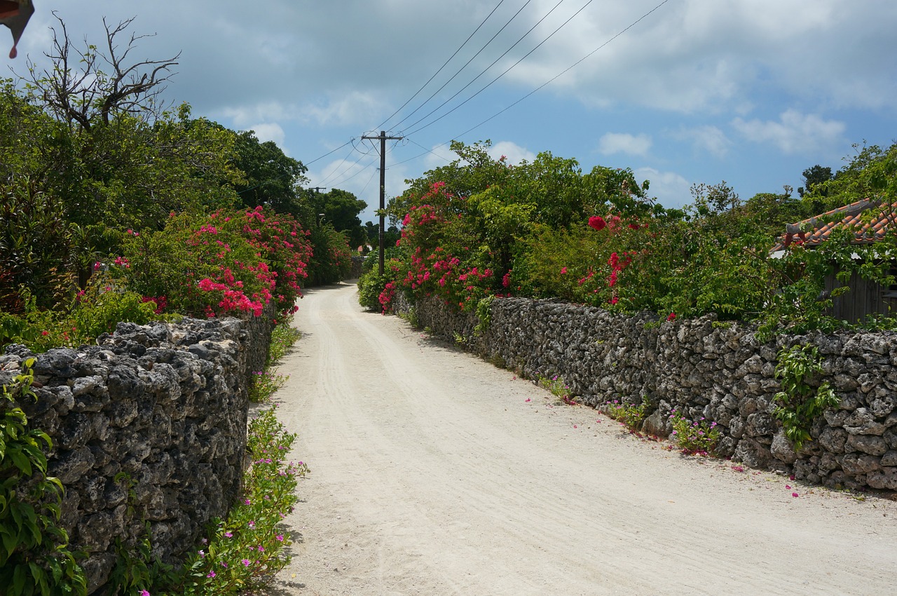 Japonija, Okinawa, Kraštovaizdis, Sala, Atogrąžų, Asija, Japanese, Kelionė, Kelias, Gatvė