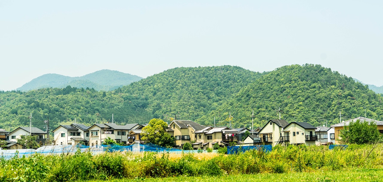 Japonija, Arashiyama, Kraštovaizdis, Kyoto, Medžiai, Gamta, Kelionė, Asian, Žalias, Kalnai