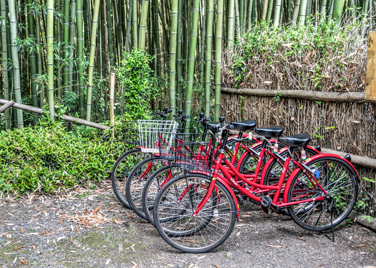 Japonija, Bambuko Miškas, Arashiyama, Kyoto, Dviračiai, Dviračiai, Spalvinga, Medžiai, Japanese, Asija