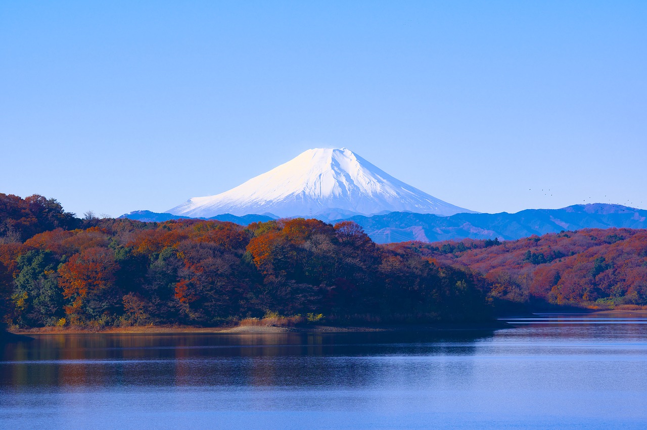 Japonija, Mt Fuji, Sayama Ežeras, Rezervuaras, Kraštovaizdis, Pasaulio Paveldo Vieta, Rudens Lapai, Fuji San, Sietam Kalnas, Fuji