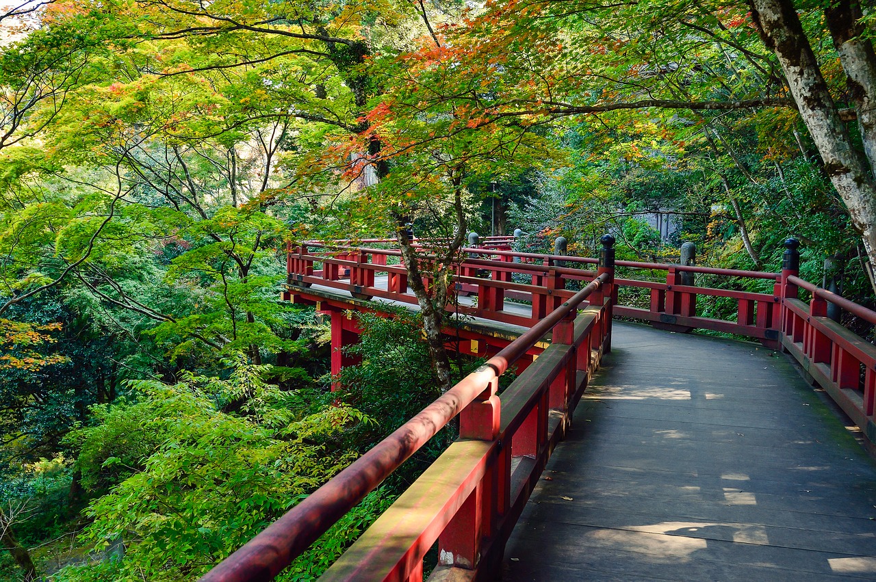 Japonija, Kraštovaizdis, Natūralus, Lauke, Japonijos Vaizdai, K, Žalias, Japonijos Kultūra, Šventykla, Turistų Kelionės Tikslas
