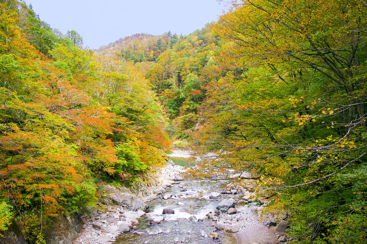 Japonija, Rudens Lapai, Akiyamos Miestelė, Slėnis, Ruduo, Nagano, Niigata, Natūralus, Kraštovaizdis, Torrent