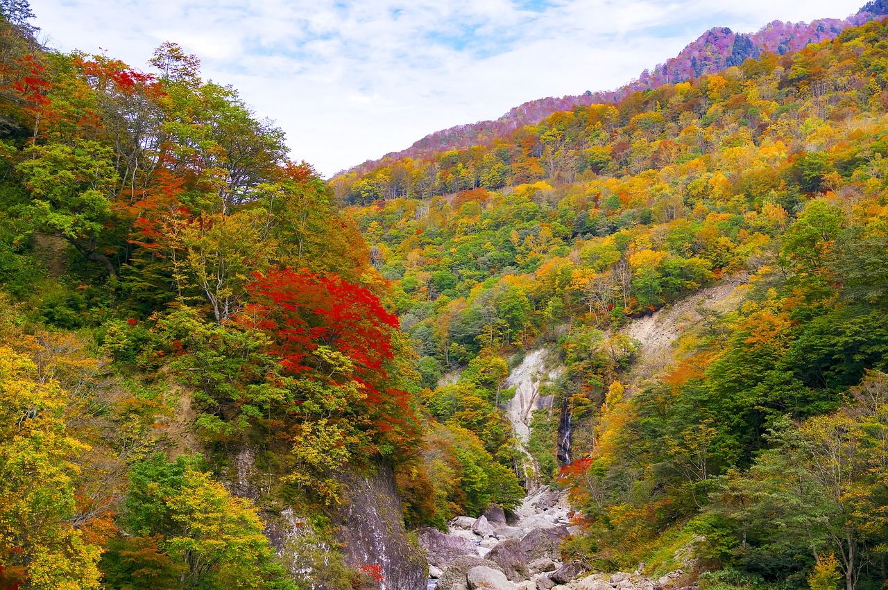 Japonija, Rudens Lapai, Akiyamos Miestelė, Slėnis, Ruduo, Nagano, Niigata, Natūralus, Kraštovaizdis, Krioklys