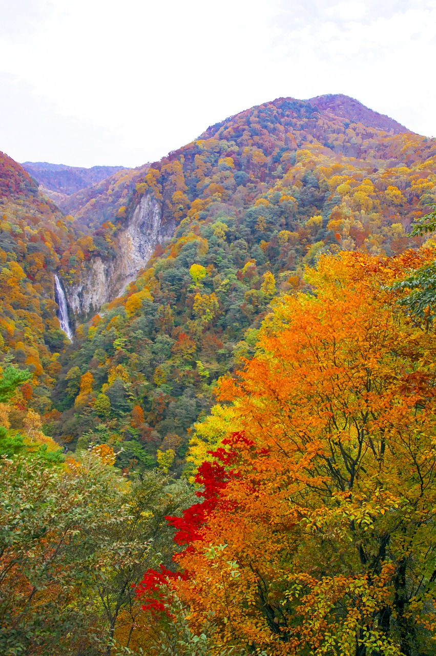 Japonija, Rudens Lapai, Shiga Kecen, Slėnis, Ruduo, Kraštovaizdis, Krioklys, Natūralus, Nemokamos Nuotraukos,  Nemokama Licenzija