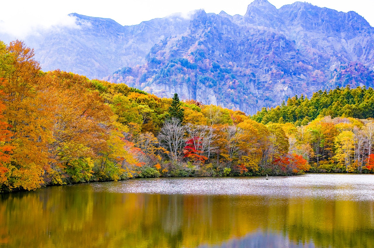 Japonija, Togakushi, Rudens Lapai, Kagamiike, Kalnas, Nagano Prefektūra, Shinshu, Nagano, Ežero Paviršius, Natūralus
