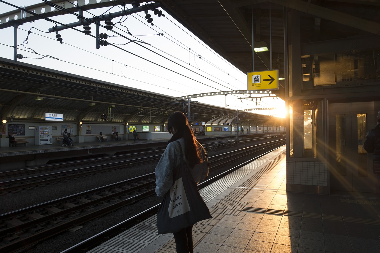 Japonija, Traukinių Stotis, Traukinys, Tokyo, Stotis, Geležinkelis, Japanese, Geležinkelis, Metro, Važinėti Į Darbą