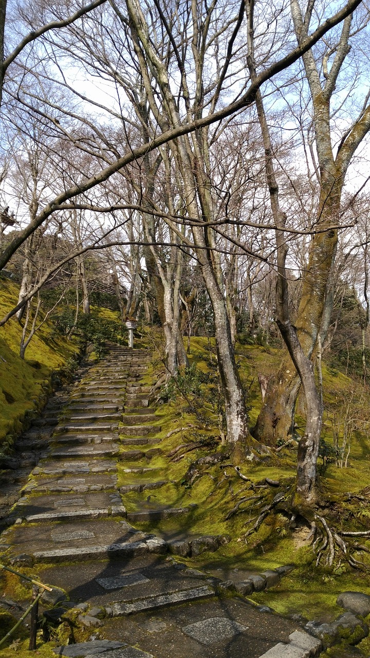 Japonija, Lanshan, Ramybės Ir Šviesos Šventykla, Osaka, Laiptai, Medis, Parkas, Nemokamos Nuotraukos,  Nemokama Licenzija