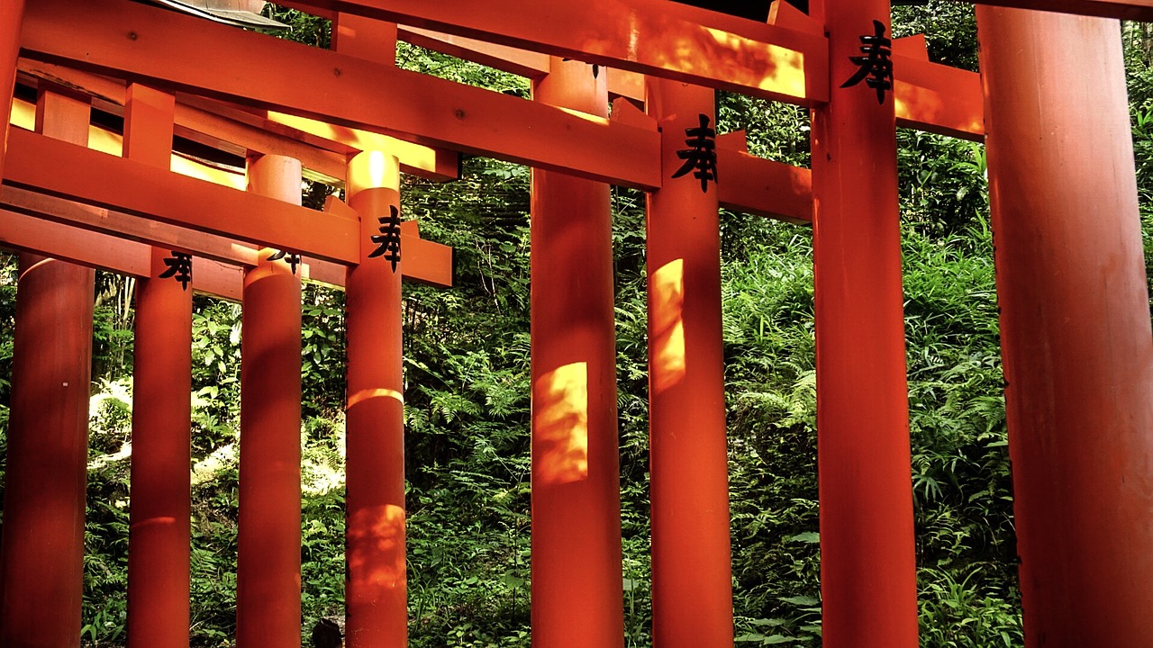 Japonija, Inari Šventovė, Oranžinė, Nemokamos Nuotraukos,  Nemokama Licenzija