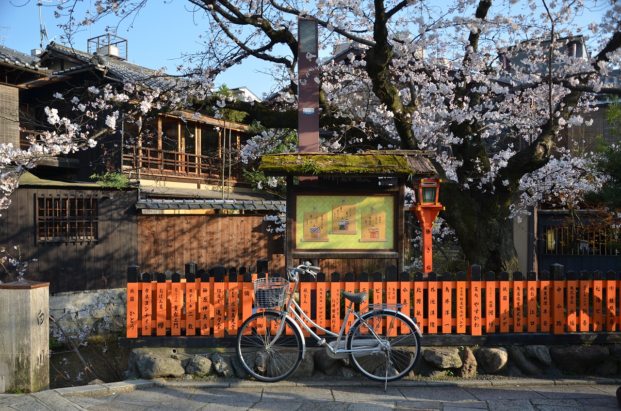 Japonija, Kyoto, Sakura, Pavasaris, Nemokamos Nuotraukos,  Nemokama Licenzija