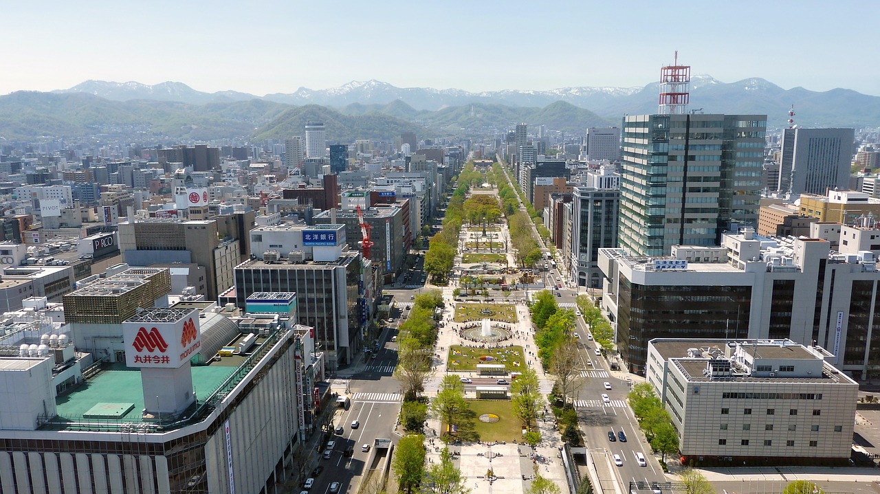 Japonija, Sapporo, Panoraminis Vaizdas, Miesto, Architektūra, Pastatai, Miestas, Dangus, Orientyras, Dangoraižis