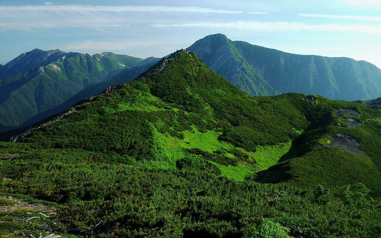 Japonija, Kraštovaizdis, Kalnai, Miškas, Medžiai, Miškai, Slėnis, Uraganas, Gorge, Žolė